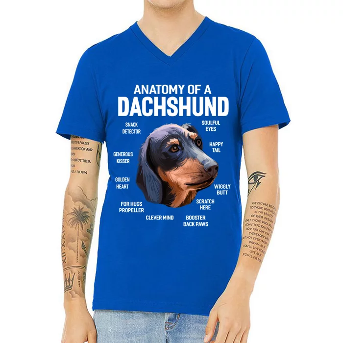 Dogs 365 Anatomy Of A Dachshund Dog Funny Gift V-Neck T-Shirt