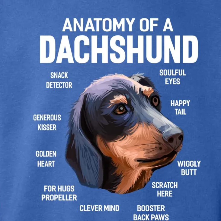 Dogs 365 Anatomy Of A Dachshund Dog Funny Gift Toddler Hoodie