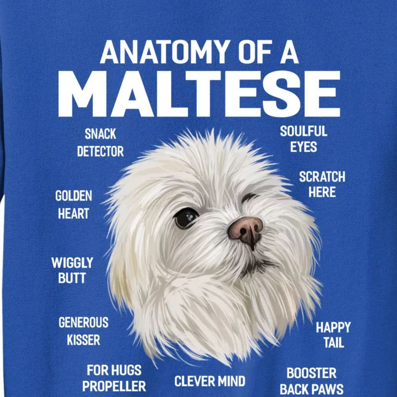 Dogs 365 Anatomy Of A Maltese Dog Funny Gift Cute Gift Tall Sweatshirt