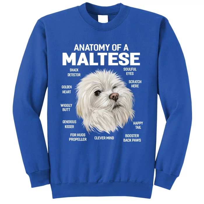 Dogs 365 Anatomy Of A Maltese Dog Funny Gift Cute Gift Tall Sweatshirt