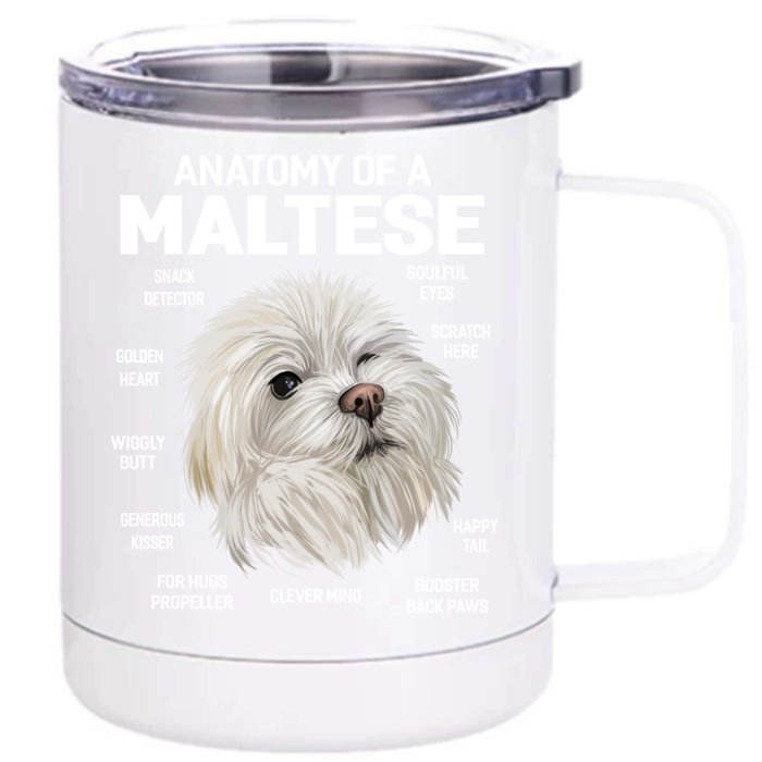 Dogs 365 Anatomy Of A Maltese Dog Funny Gift Cute Gift Front & Back 12oz Stainless Steel Tumbler Cup