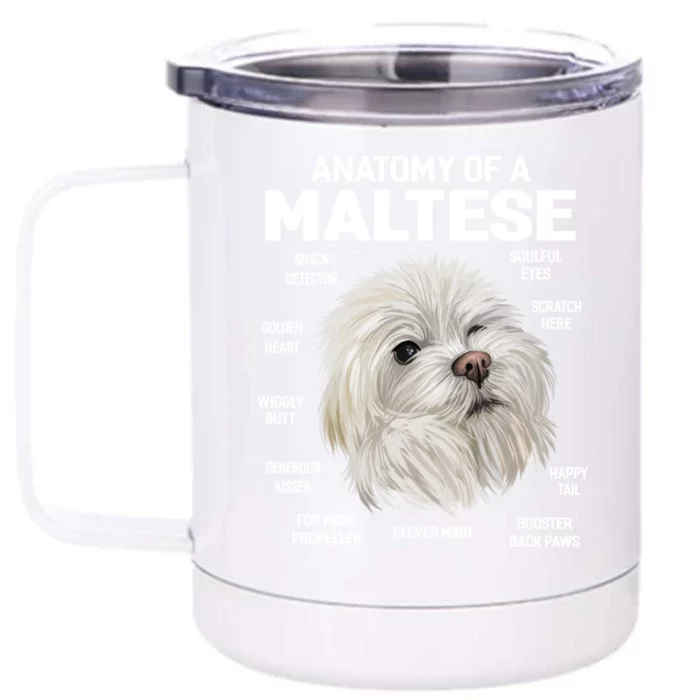 Dogs 365 Anatomy Of A Maltese Dog Funny Gift Cute Gift Front & Back 12oz Stainless Steel Tumbler Cup