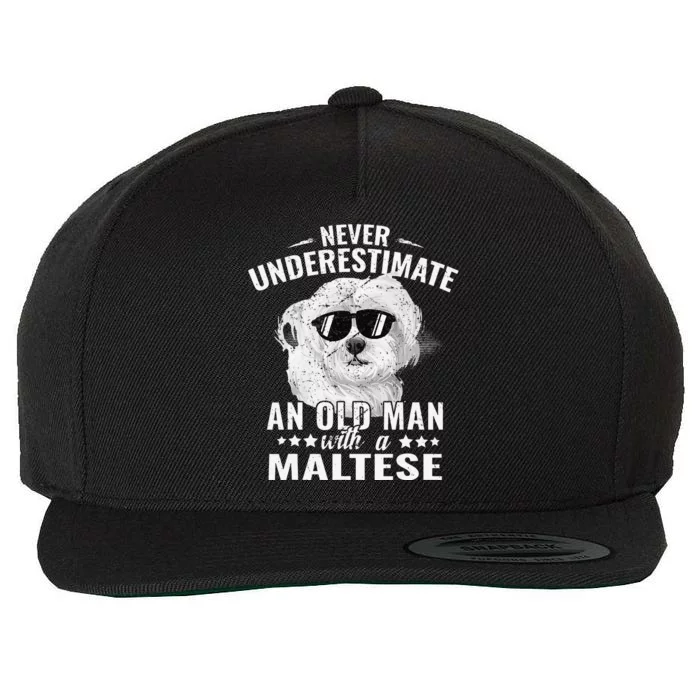 Dogs 365 Never Underestimate An Old Man with Maltese Dog Wool Snapback Cap