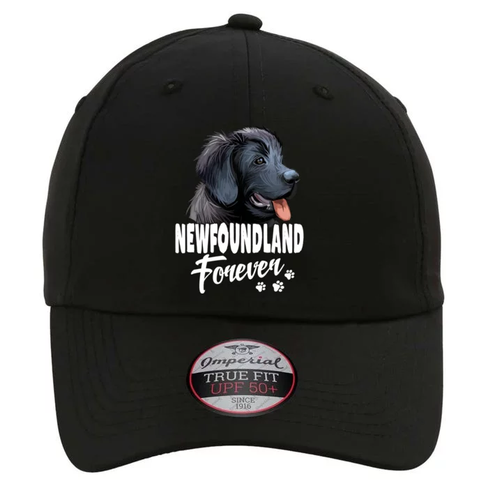 Dogs 365 Newfoundland Forever Cute Dog Lover Gift The Original Performance Cap