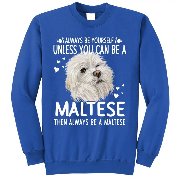 Dogs 365 Unless You Can Be A Maltese Dog Funny Funny Gift Tall Sweatshirt