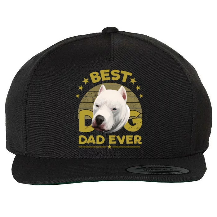 Dogs 365 Vintage Best Dogo Argentino Dad Ever Gift Gift Wool Snapback Cap