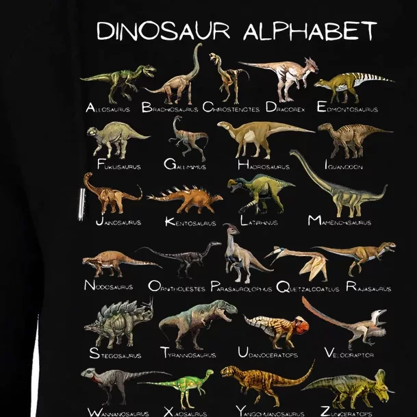 Dinosaur Alphabet ABC Dino Paleontology Educational Womens Funnel Neck Pullover Hood