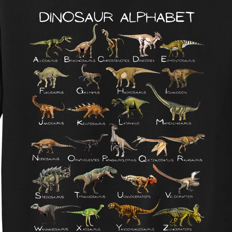 Dinosaur Alphabet ABC Dino Paleontology Educational Tall Sweatshirt