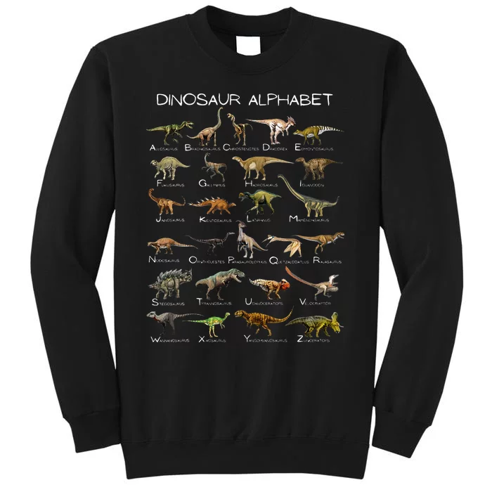 Dinosaur Alphabet ABC Dino Paleontology Educational Tall Sweatshirt