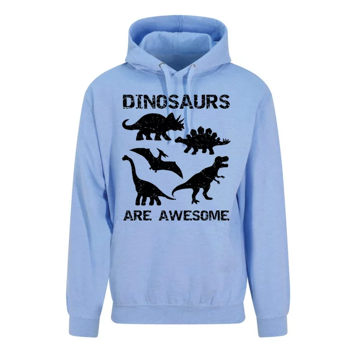 DINOSAURS ARE AWESOMEDINOSAURS ARE AWESOME Unisex Surf Hoodie