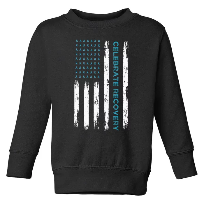 Drug Alcohol Addiction Recovery Celebrate Recovery Usa Flag Toddler Sweatshirt