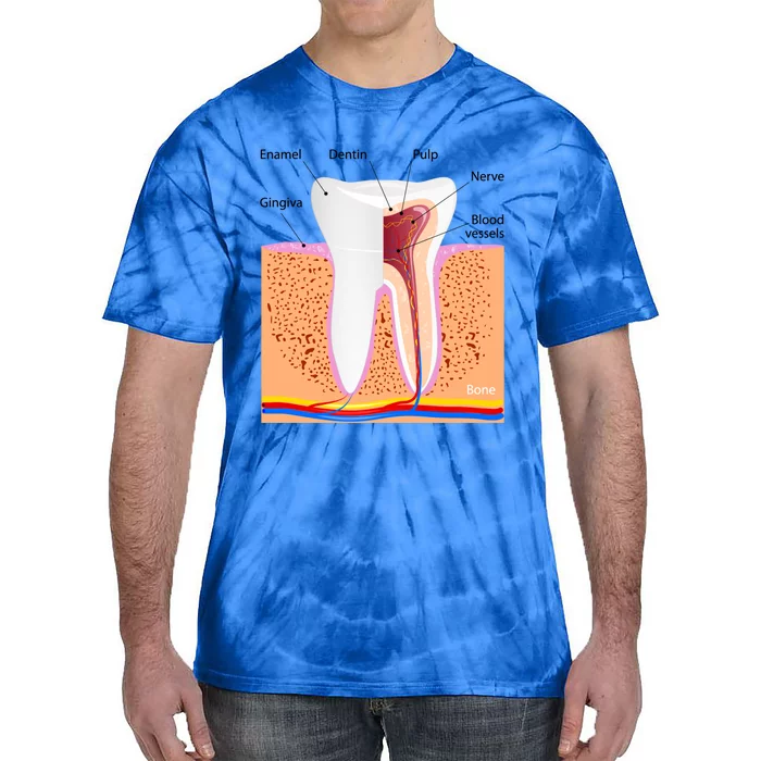 Dental Anatomy For Normal Tooth Dentin Enamel Gingiva Pulp Meaningful Gift Tie-Dye T-Shirt