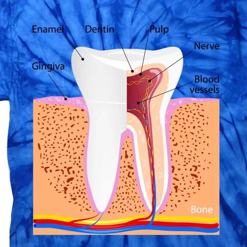 Dental Anatomy For Normal Tooth Dentin Enamel Gingiva Pulp Meaningful Gift Tie-Dye T-Shirt