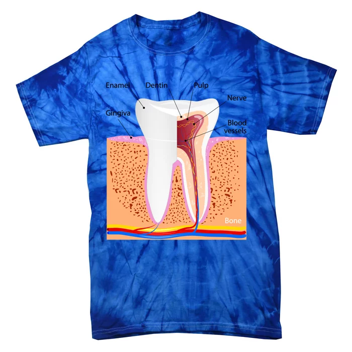 Dental Anatomy For Normal Tooth Dentin Enamel Gingiva Pulp Meaningful Gift Tie-Dye T-Shirt