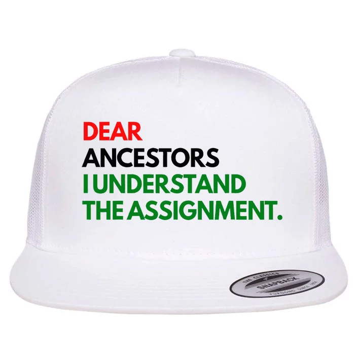 Dear Ancestors I Understand The Assignment Flat Bill Trucker Hat