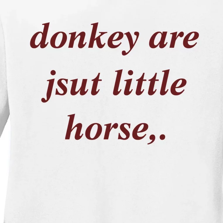 Donkey Are Jsut Little Horse Sarcasm Funny Donkey Ladies Long Sleeve Shirt