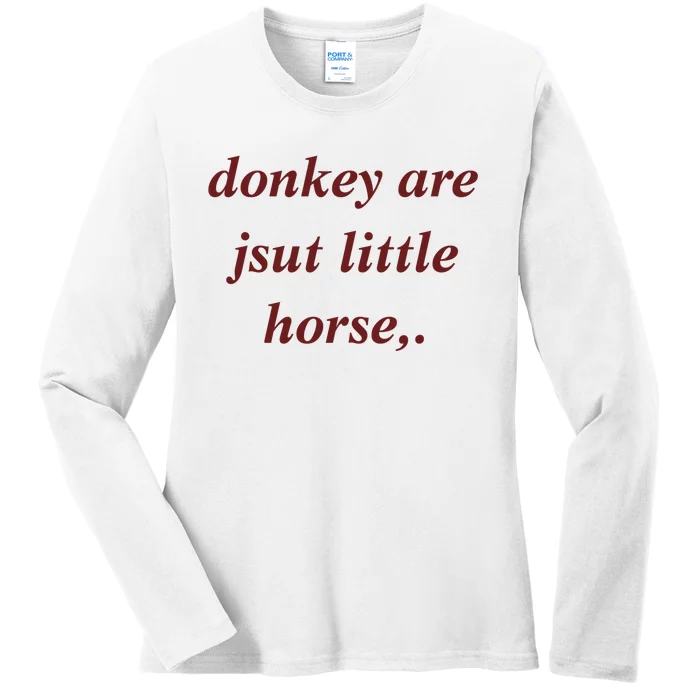 Donkey Are Jsut Little Horse Sarcasm Funny Donkey Ladies Long Sleeve Shirt