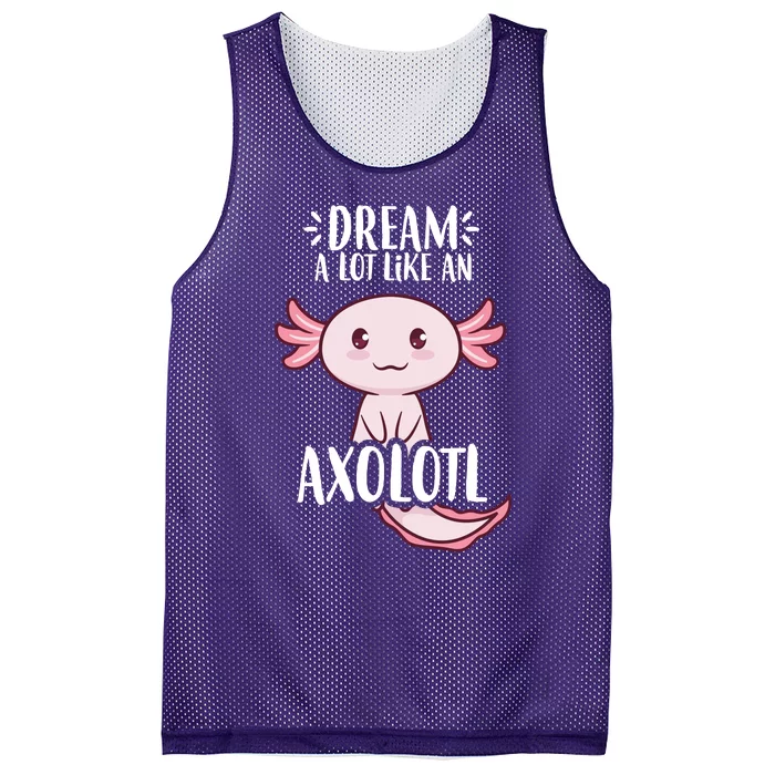 Dream A Lot Like An Axolotl Mesh Reversible Basketball Jersey Tank