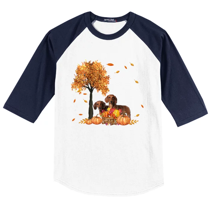 Dachshund Autumn Leaf Fall Dog Lover Thanksgiving Halloween Cool Gift Baseball Sleeve Shirt