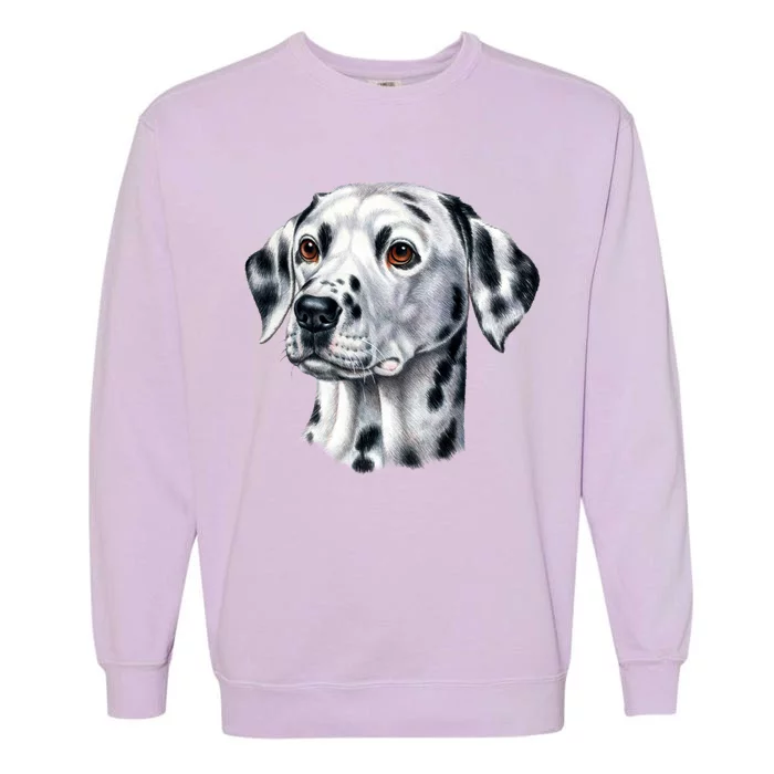 Dalmatian Face Garment-Dyed Sweatshirt