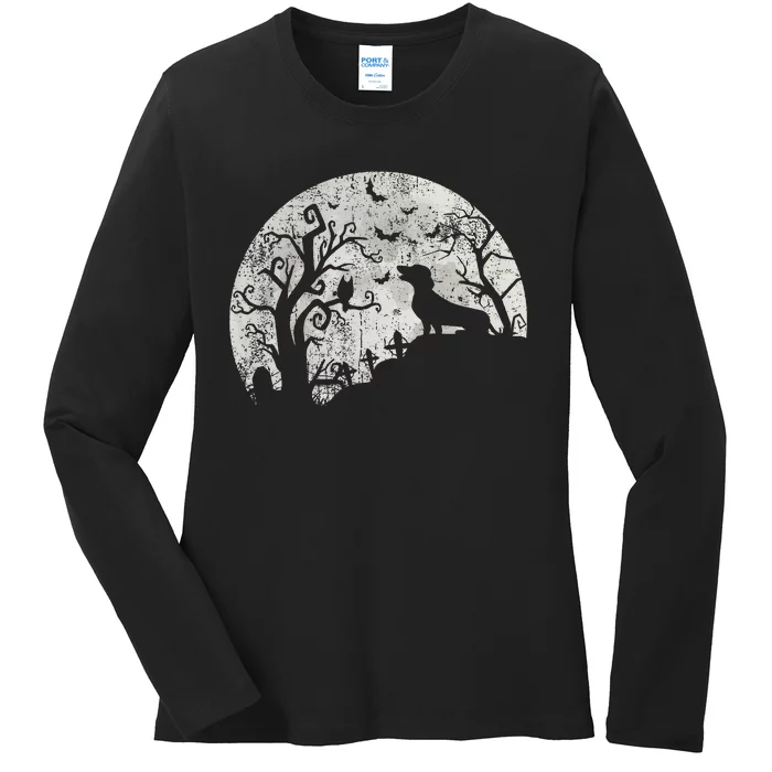 Dachshund And Moon Halloween Dachshund Lovers Pet Owner Ladies Long Sleeve Shirt