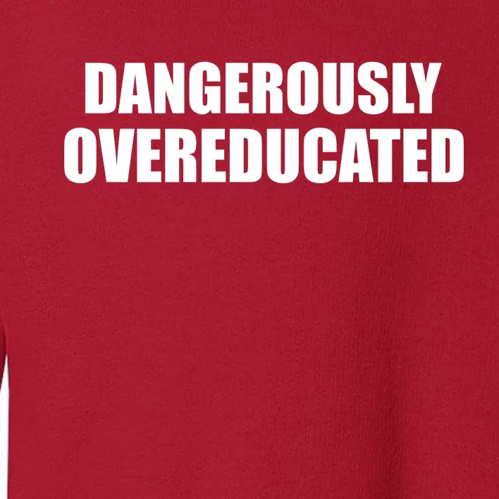 Dangerously Overeducated Toddler Sweatshirt