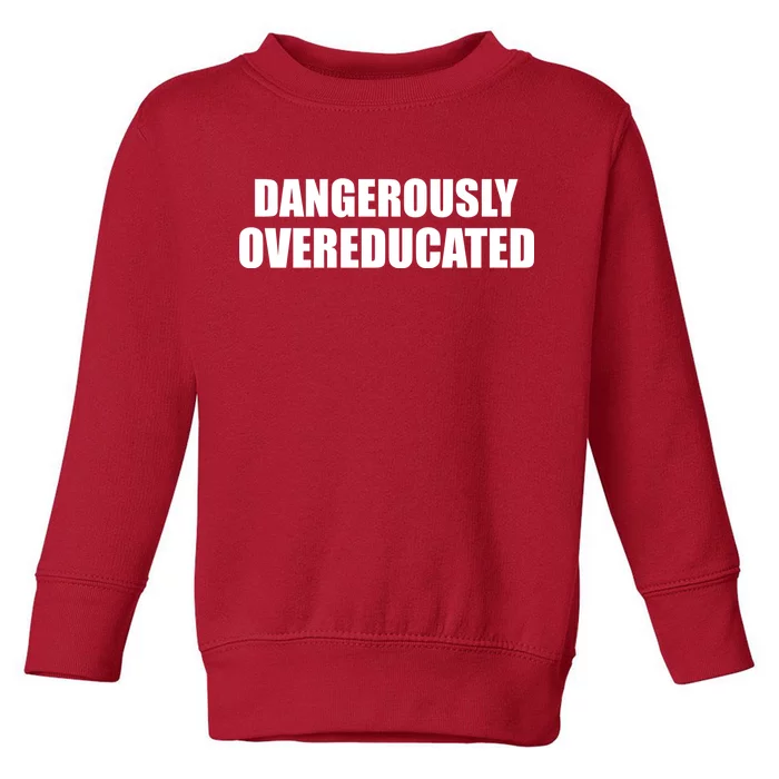 Dangerously Overeducated Toddler Sweatshirt