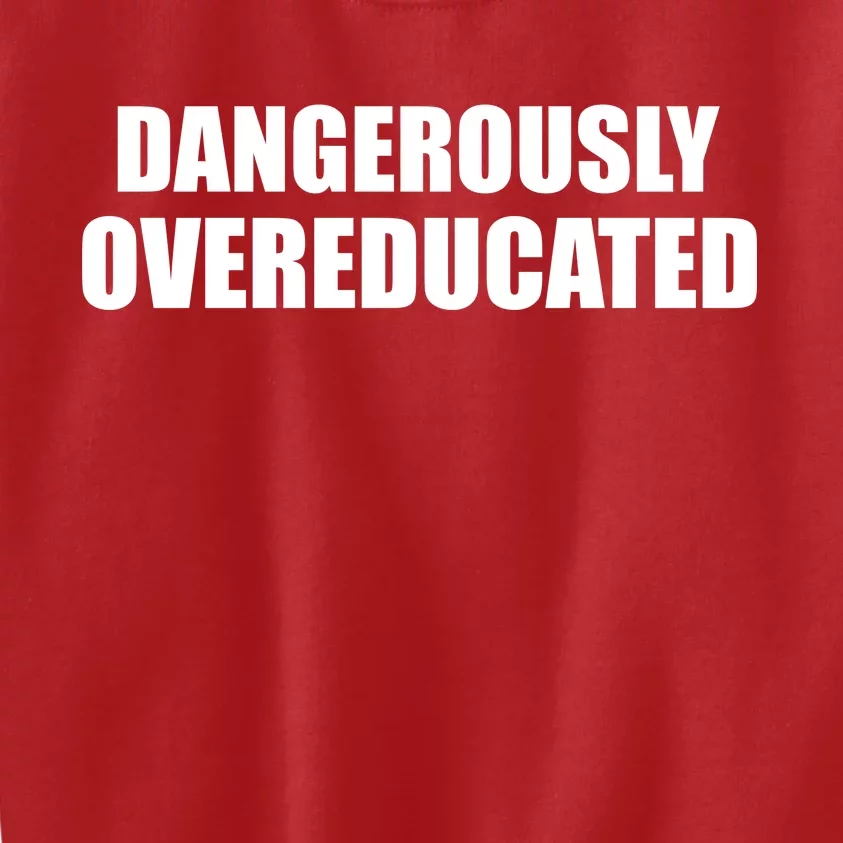 Dangerously Overeducated Kids Sweatshirt