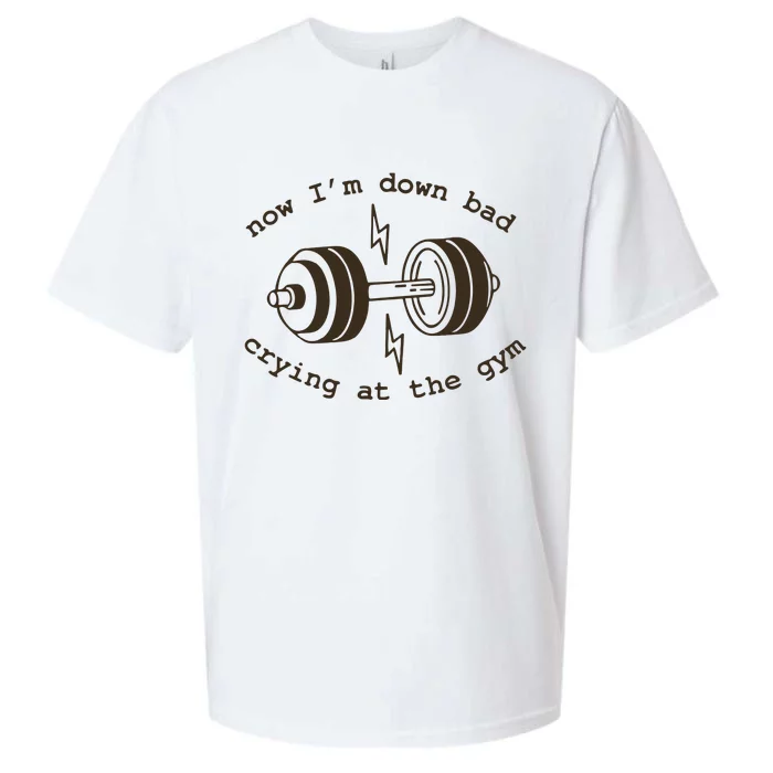 Down Bad Crying At The Gym Sueded Cloud Jersey T-Shirt