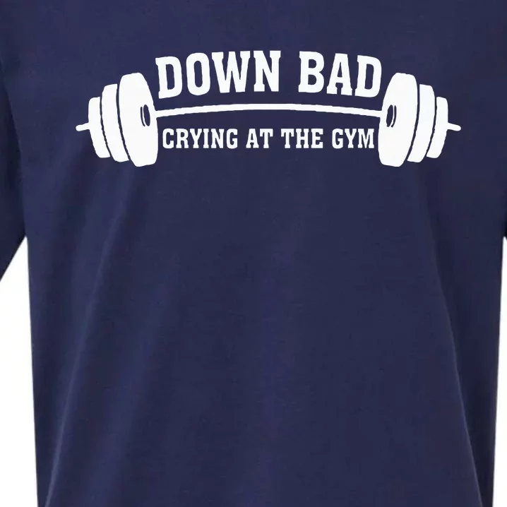 Down Bad Crying At The Gym Sueded Cloud Jersey T-Shirt