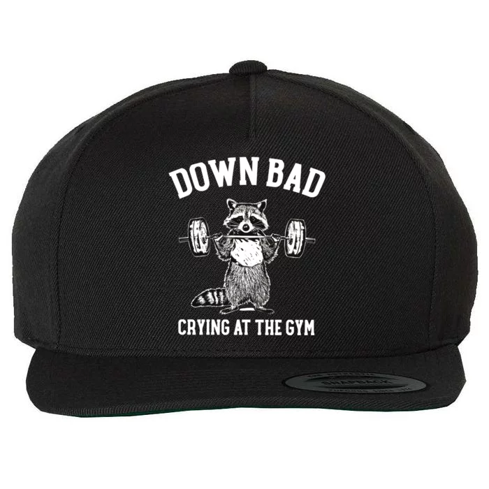 Down Bad Crying At Gym Funny Raccoon Lover Fan Gift Funny Gift Wool Snapback Cap