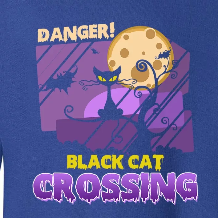 Danger Black Cat Crossing Funny Halloween Design Pets Lovers Gift Toddler Sweatshirt