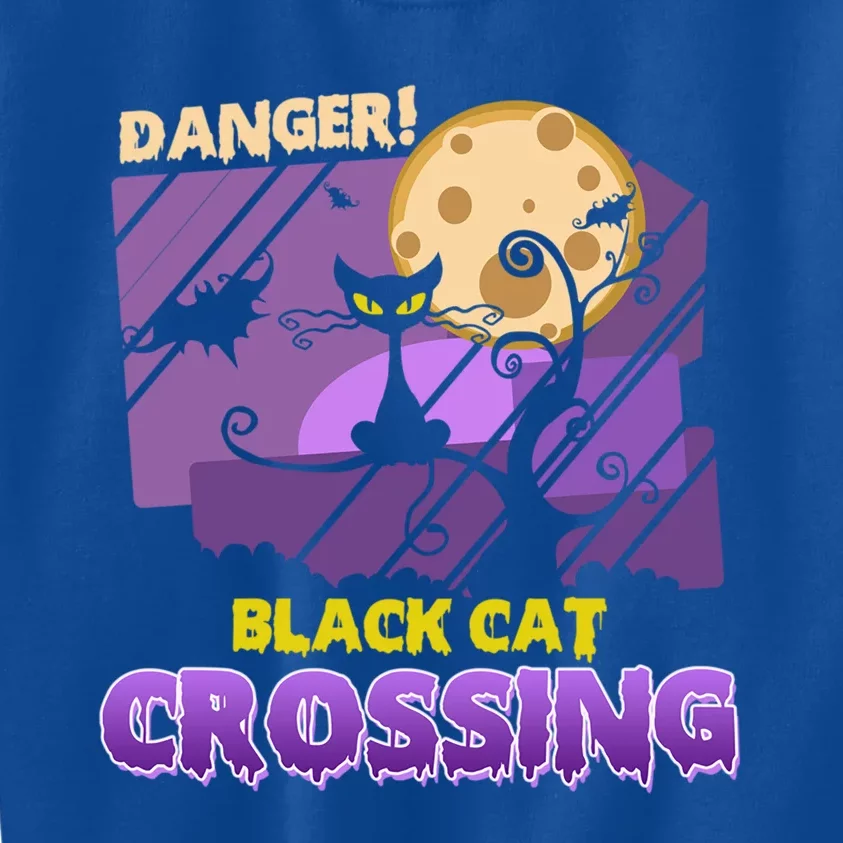 Danger Black Cat Crossing Funny Halloween Design Pets Lovers Gift Kids Sweatshirt