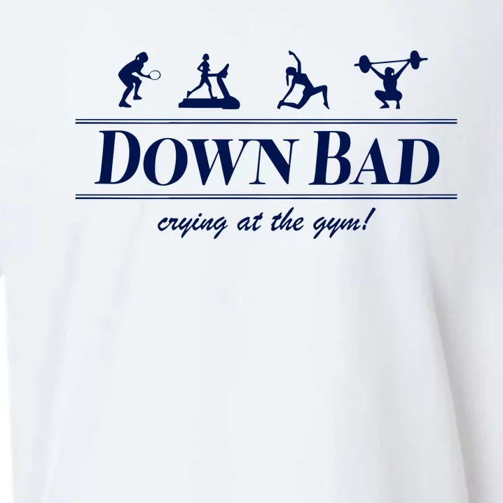 Down Bad Crying At The Gym Sueded Cloud Jersey T-Shirt