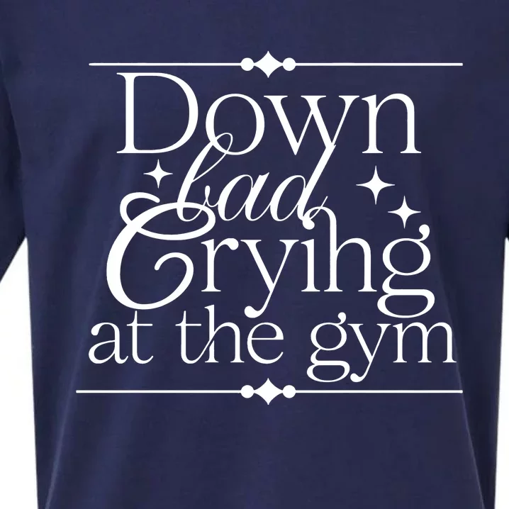 Down Bad Crying At The Gym Sueded Cloud Jersey T-Shirt