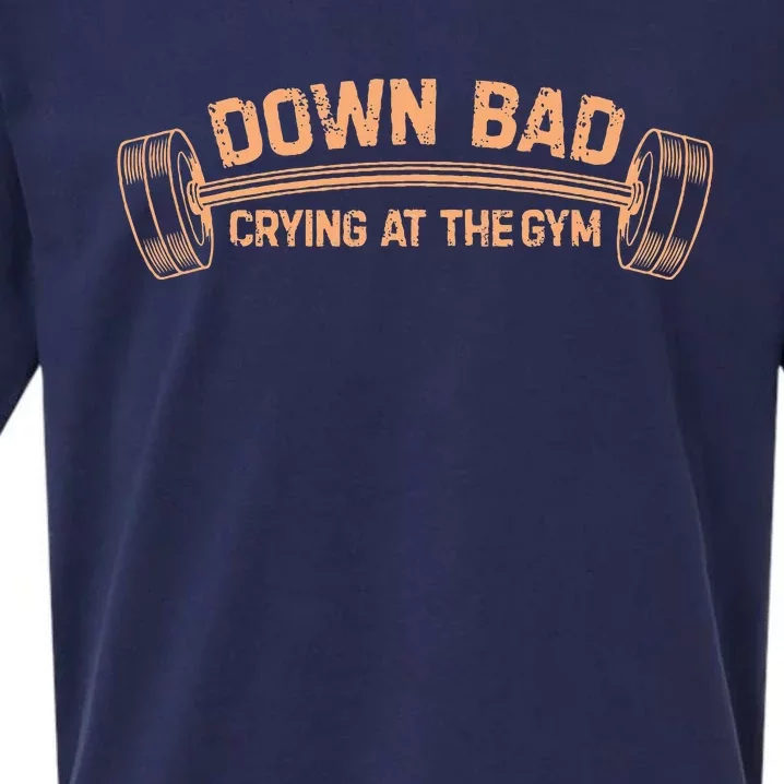 Down Bad Crying At The Gym Sueded Cloud Jersey T-Shirt