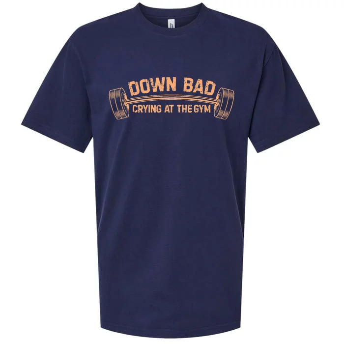 Down Bad Crying At The Gym Sueded Cloud Jersey T-Shirt