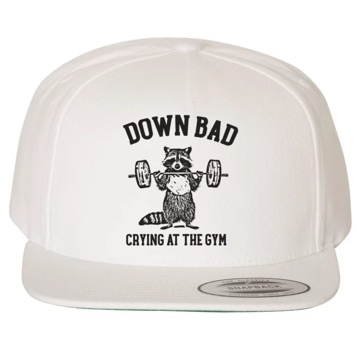 Down Bad Crying At The Gym Racoon Meme Ttpd Wool Snapback Cap