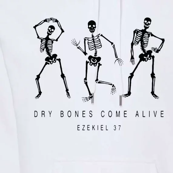 Dry Bones Come Alive Ezekiel 37 Funny Skeleton Premium Hoodie