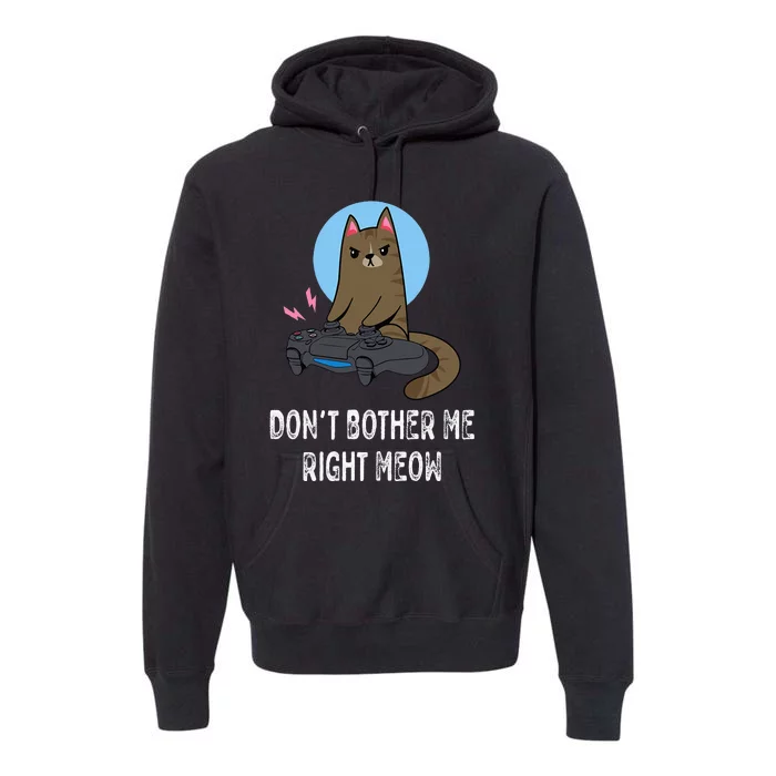 Don't Bother Me Right Meow  Funny Video Gamer & Cat Lover Premium Hoodie