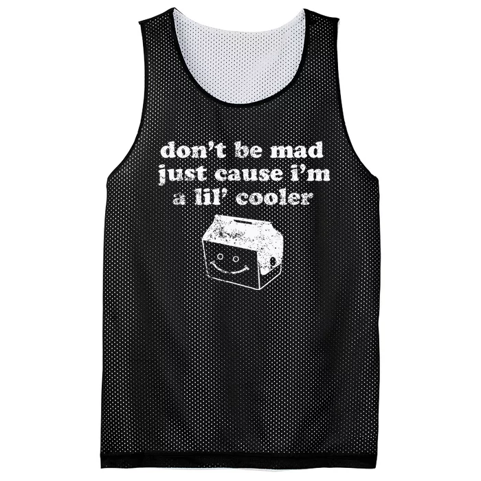 DonT Be Made Just Cause IM A Lil Cooler Mesh Reversible Basketball Jersey Tank