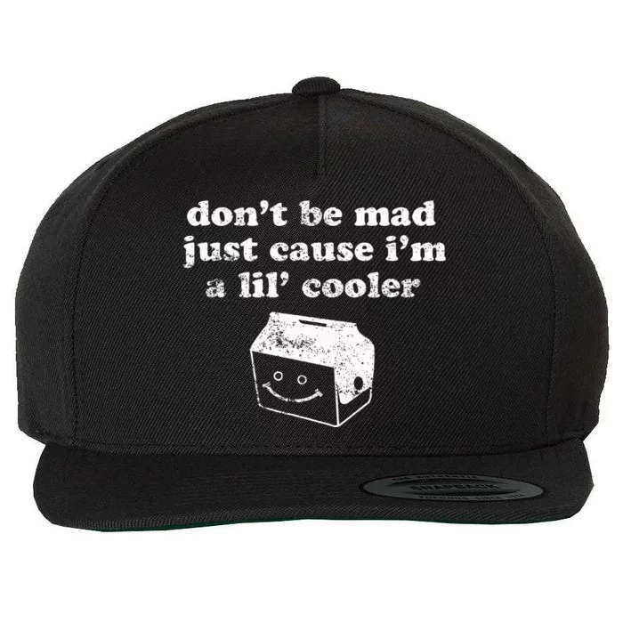 DonT Be Made Just Cause IM A Lil Cooler Wool Snapback Cap