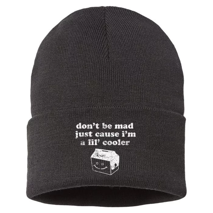 DonT Be Made Just Cause IM A Lil Cooler Sustainable Knit Beanie