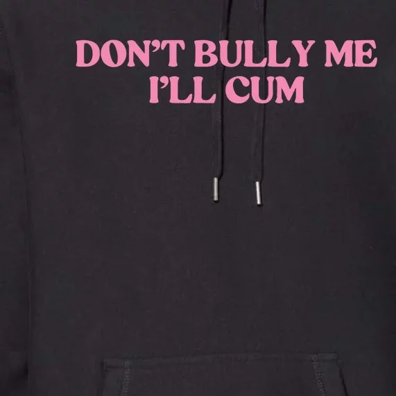 DonT Bully Me Premium Hoodie