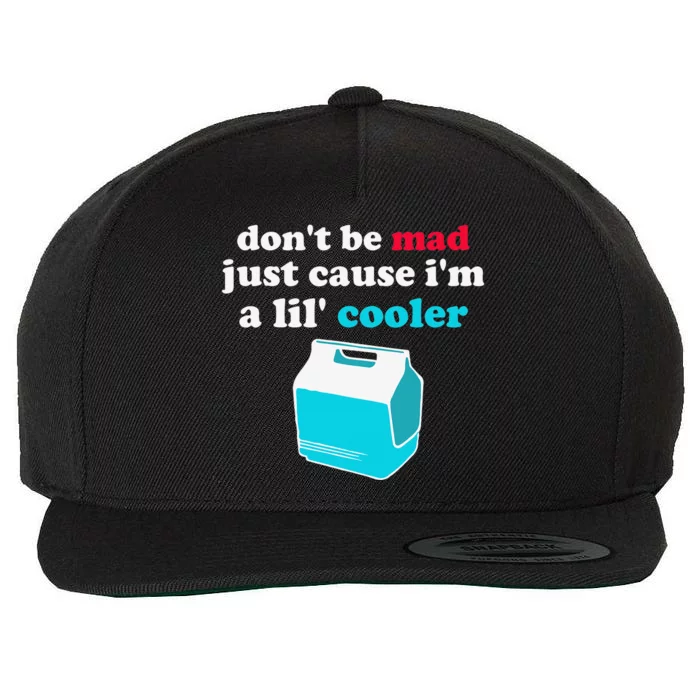 Don't Be Mad Just Cause I'm A Lil' Cooler Funny Humorous Wool Snapback Cap