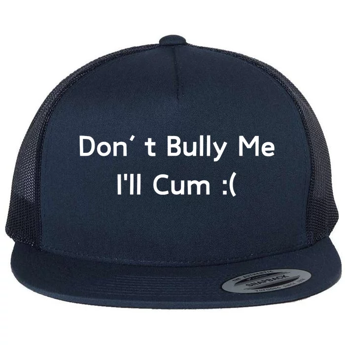 Dont Bully Me Funny Meme Flat Bill Trucker Hat