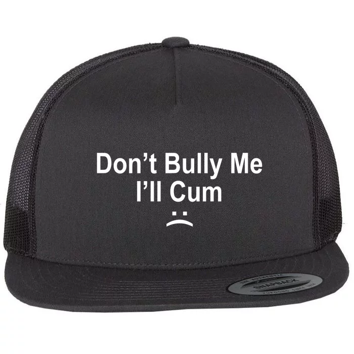 Don't Bully Me I'll Cum Sad Face Funny Flat Bill Trucker Hat