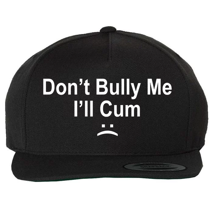 Don't Bully Me I'll Cum Sad Face Funny Wool Snapback Cap