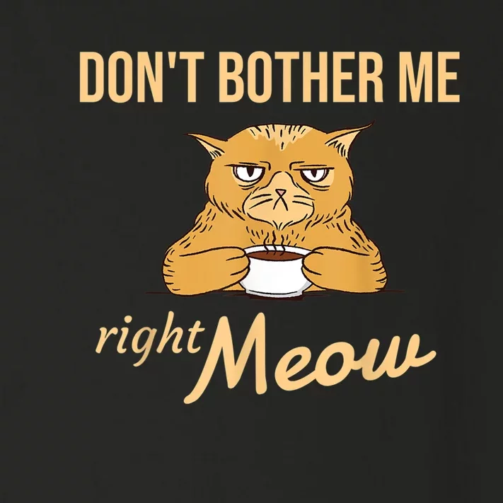 DonT Bother Me Right Meow Coffee Cat Humor Toddler Long Sleeve Shirt