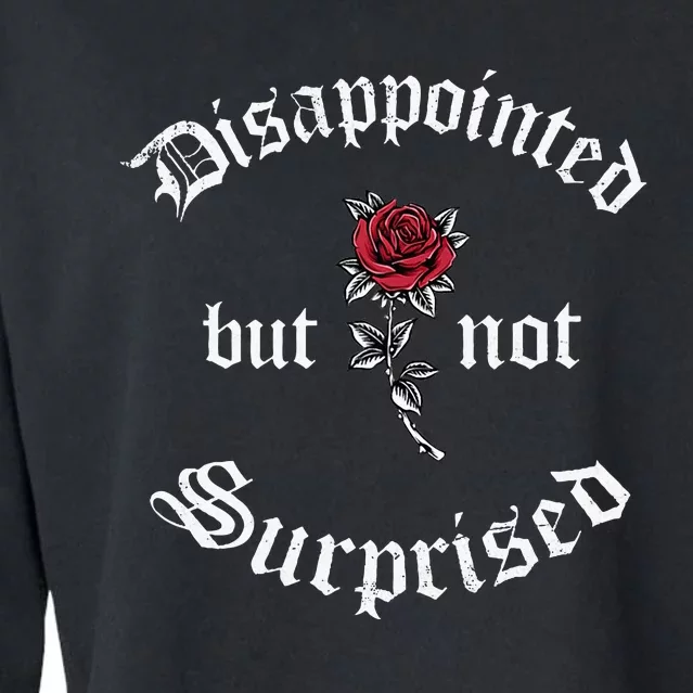 Disappointed But Not Surprised Soft Grunge Aesthetics Rose Cropped Pullover Crew